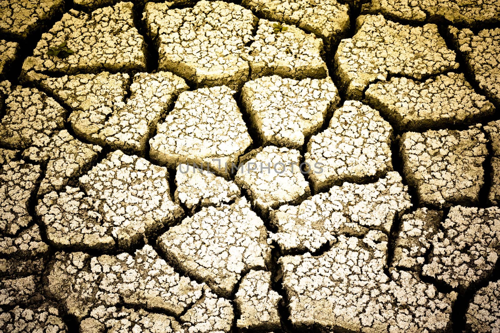 dry ground with cracks
