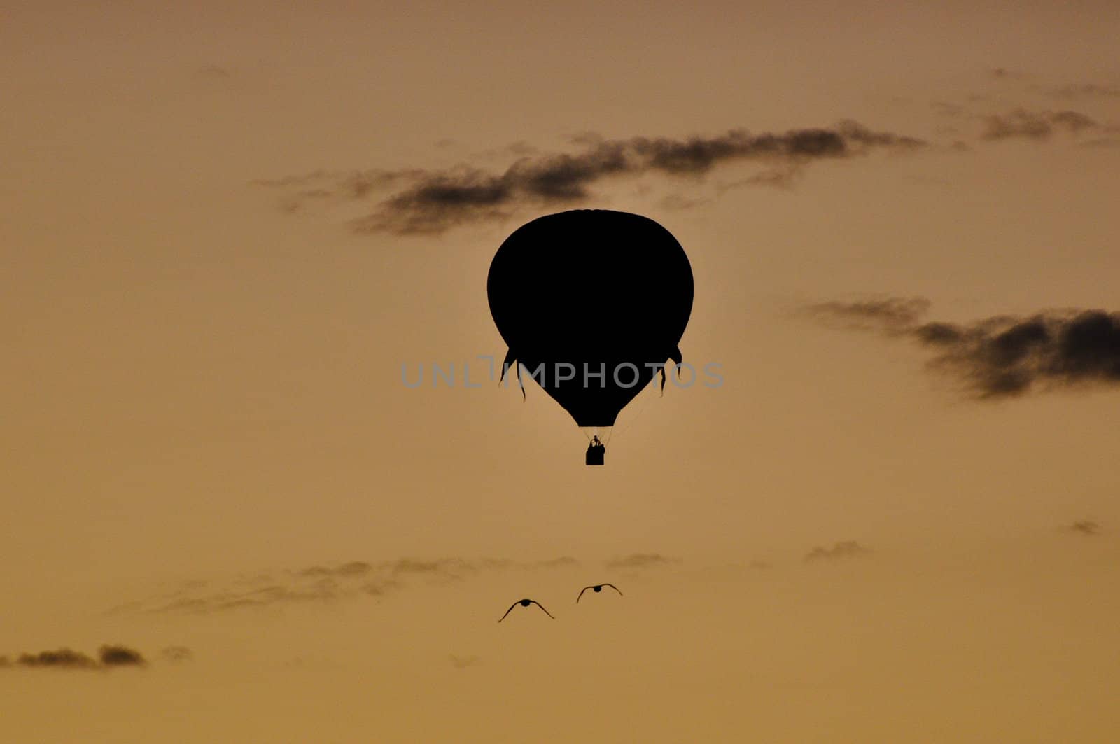 Hot Air Balloon