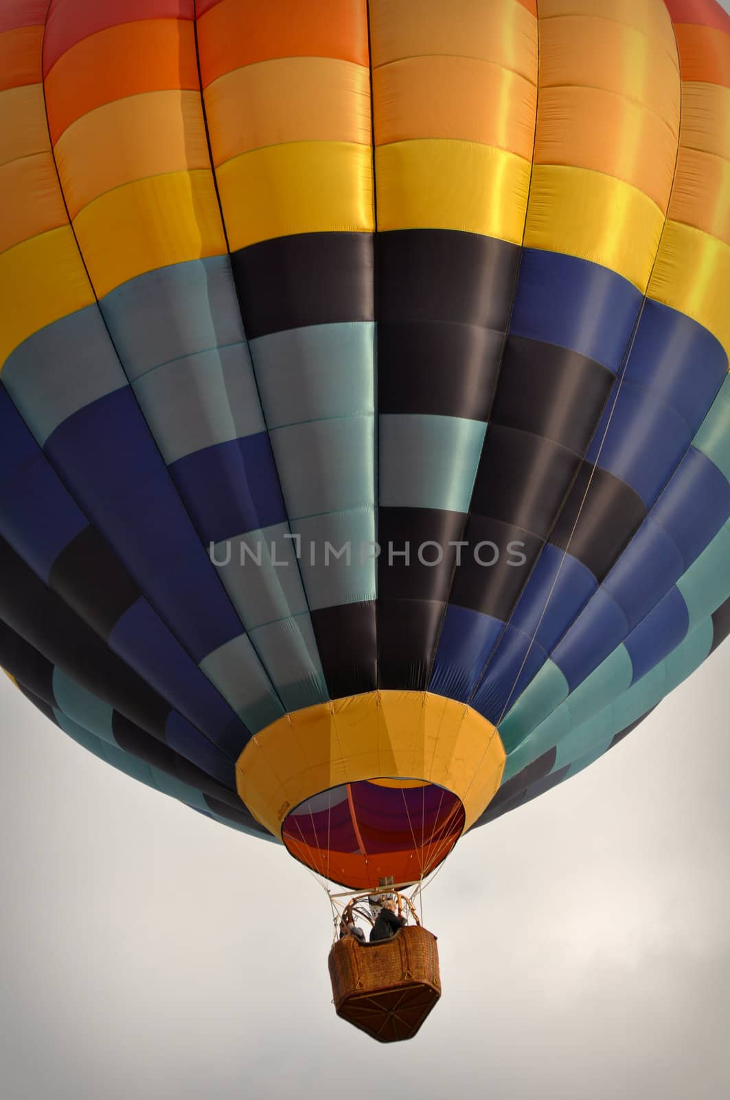 Hot Air Balloon