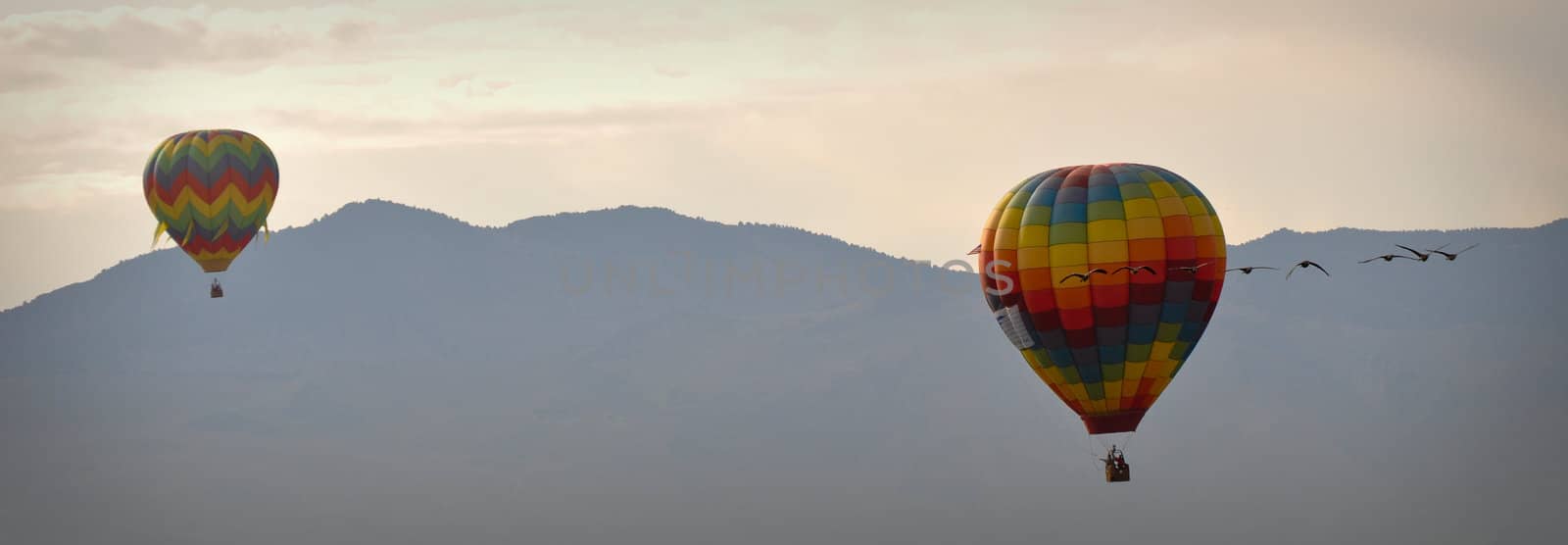 Hot Air Balloon