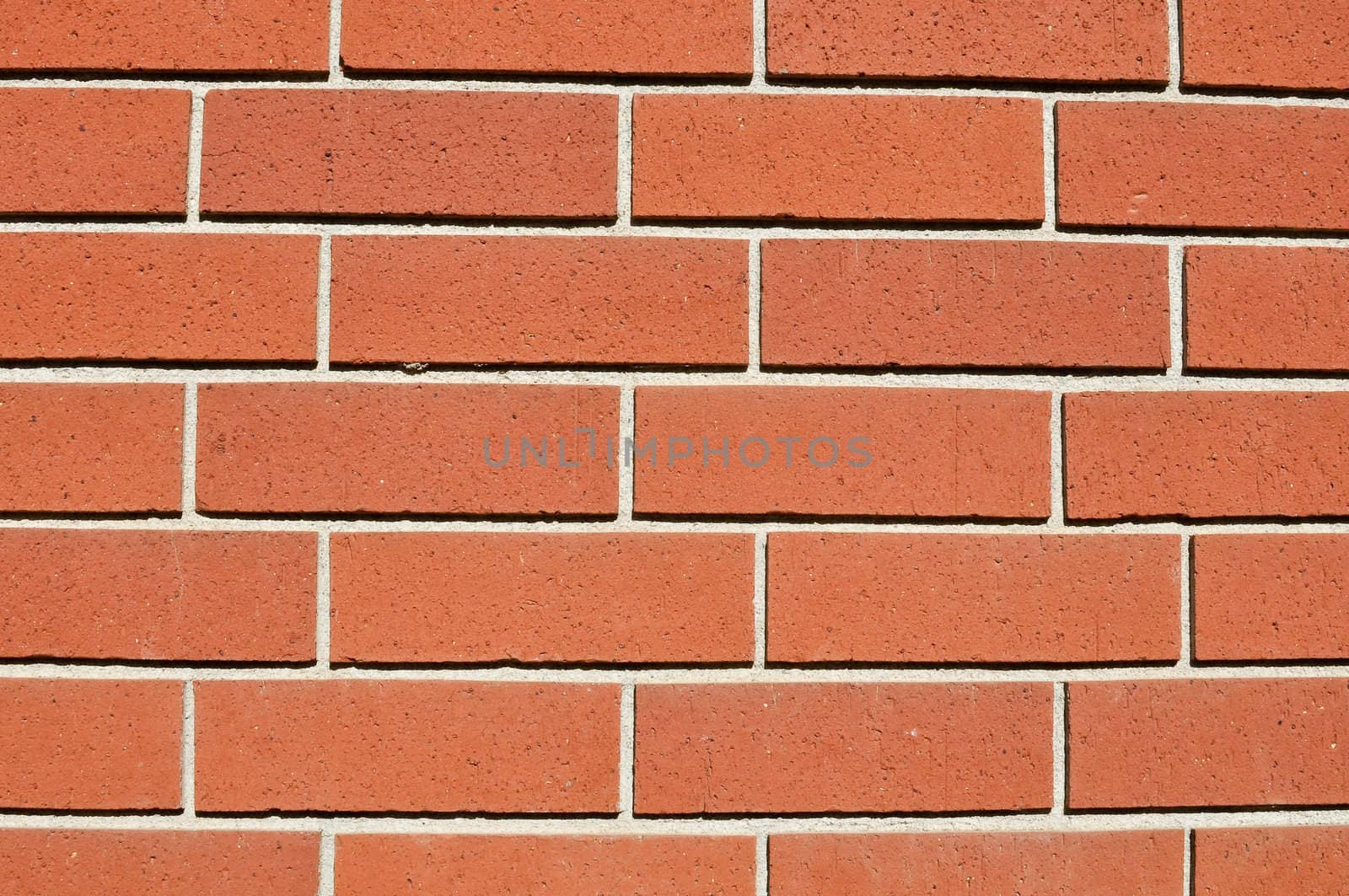 New Clean Red Bricks Close-Up