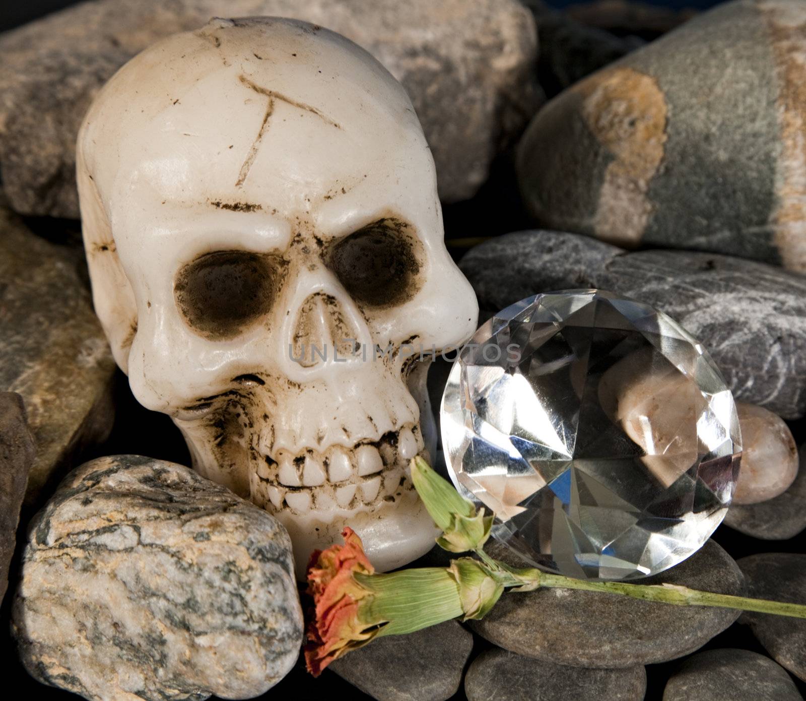 A human skull and a huge diamond with a dying flower