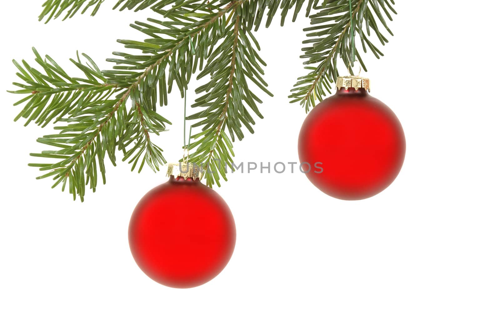 Christmass balls hanging in a christmas tree