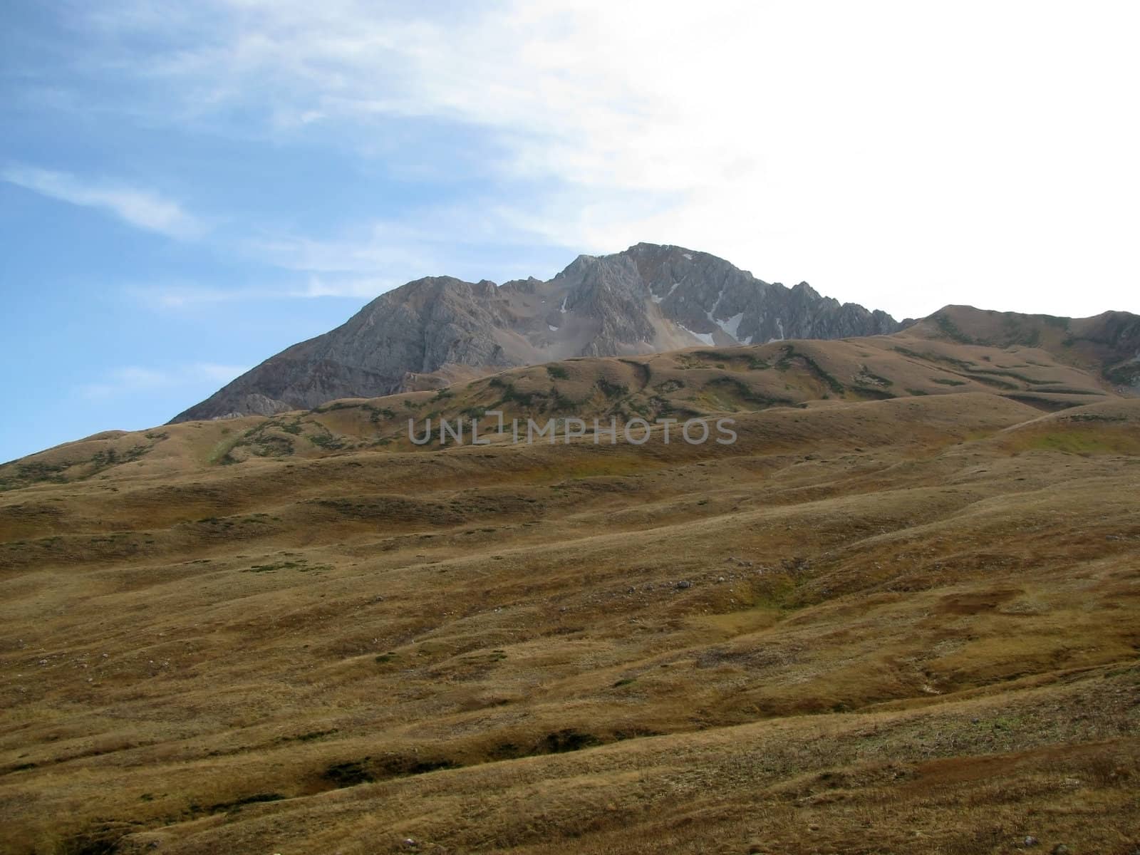 Europe; Russia; a file; flora; the Alpine meadows; a grass
