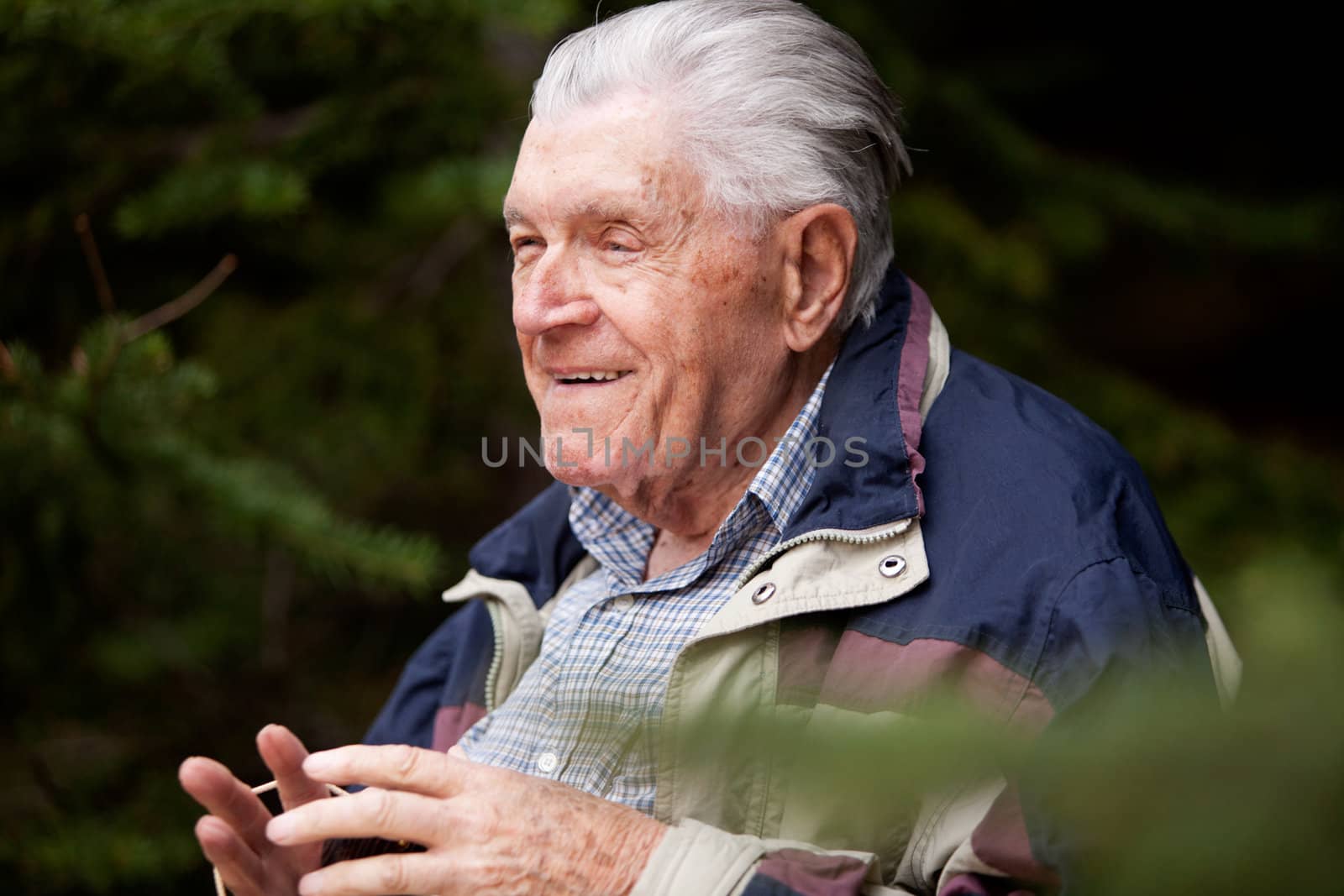 A grandfather telling a story in the forest