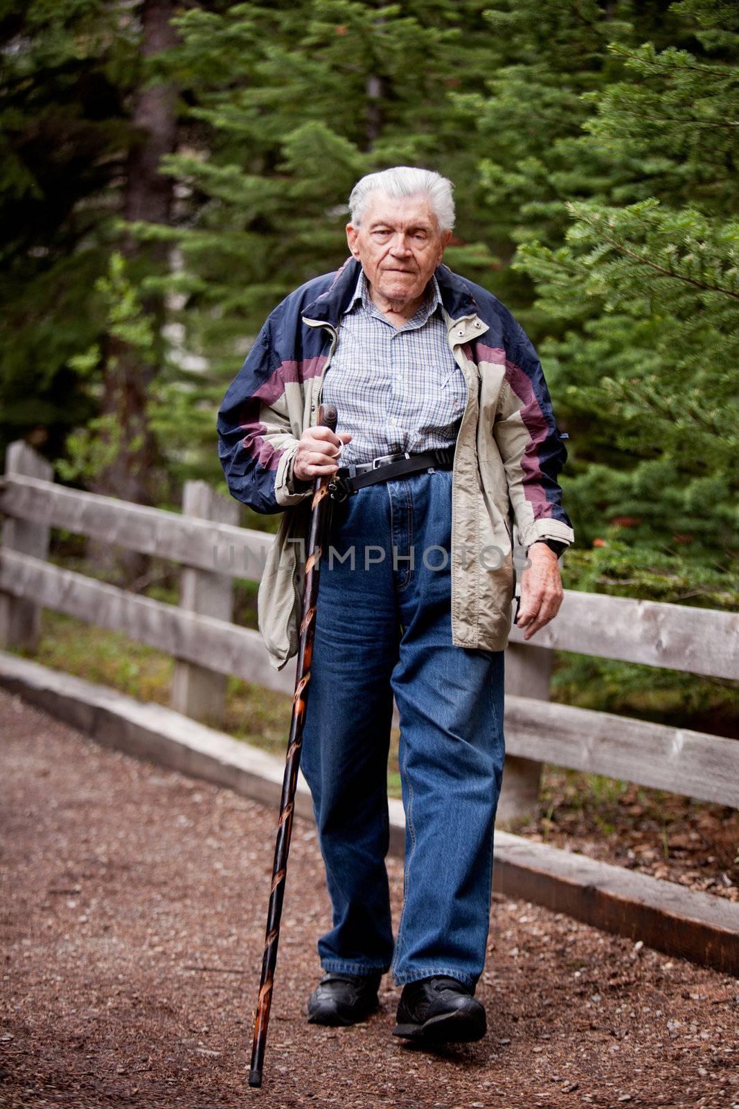 An elderly man walking on a path through the forest