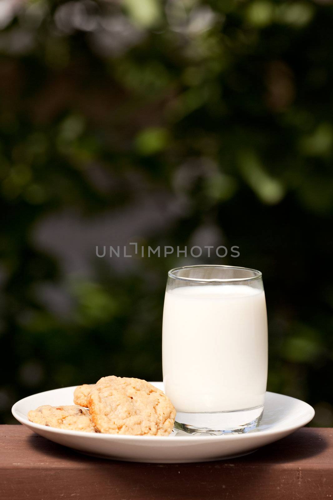 A plate of milk and cookies in an outdoor setting