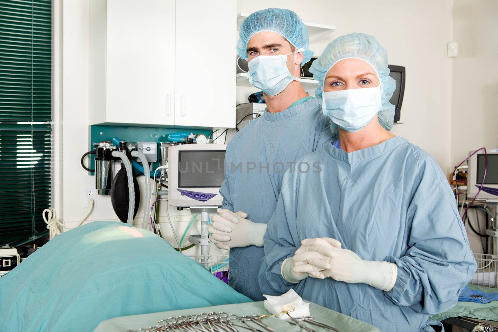 A portrait of a small animal surgeon and assistant 