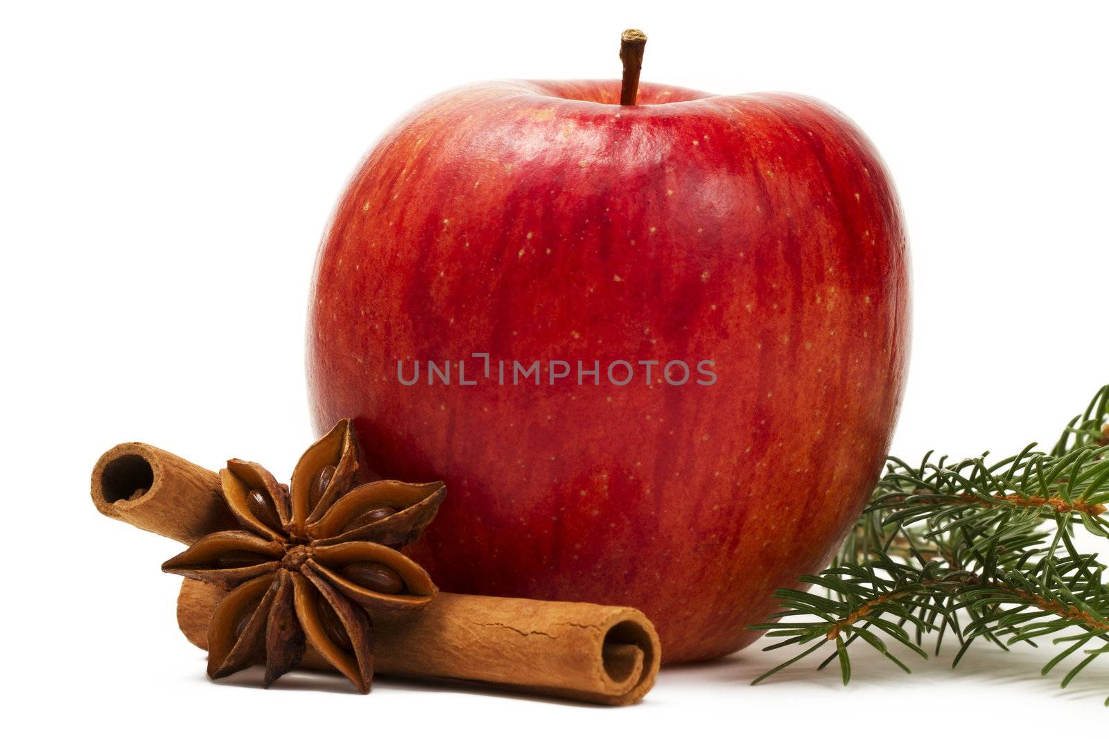 apple star anise cinnamon sticks and a branch on white background