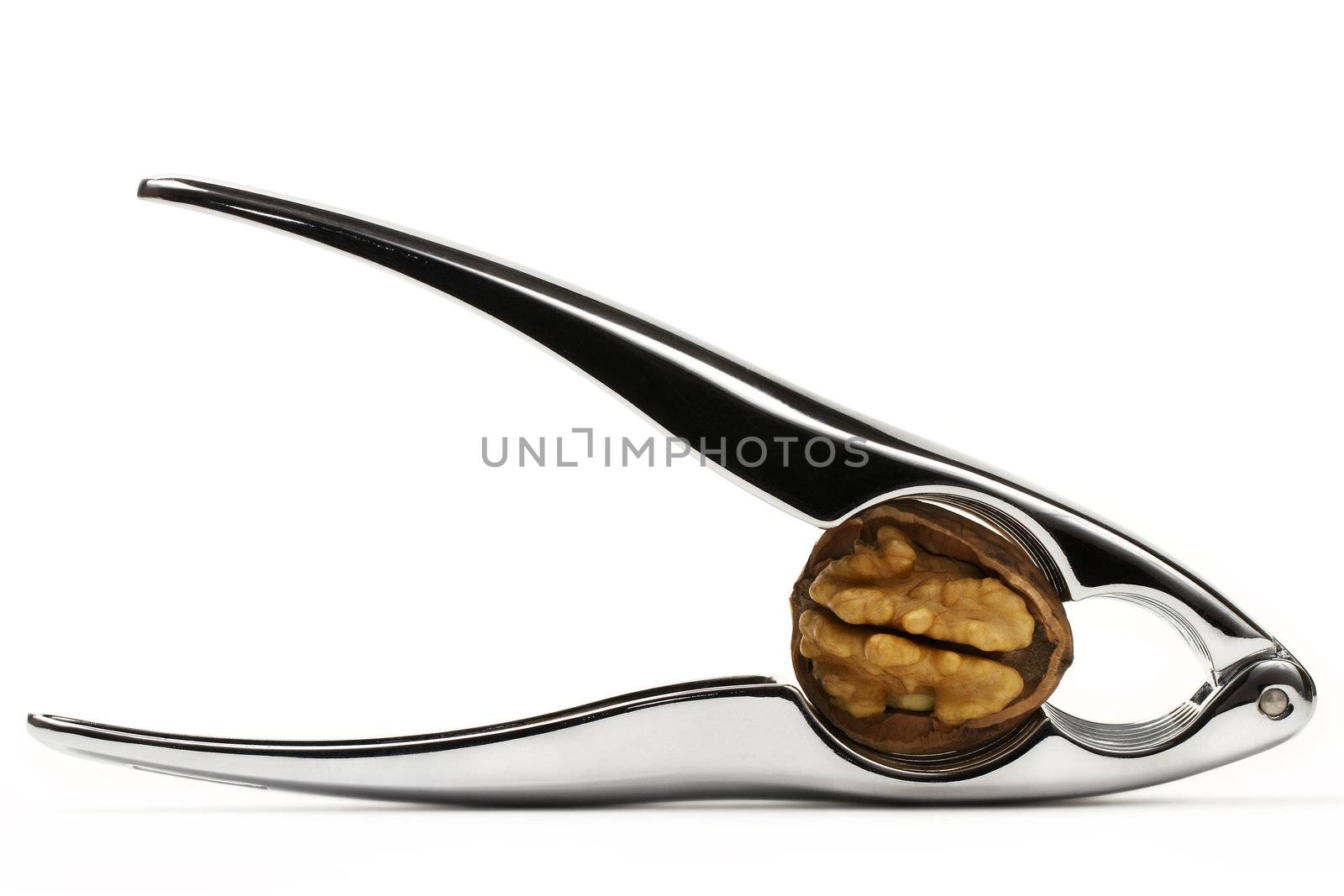 cracked walnut in a nutcracker by RobStark