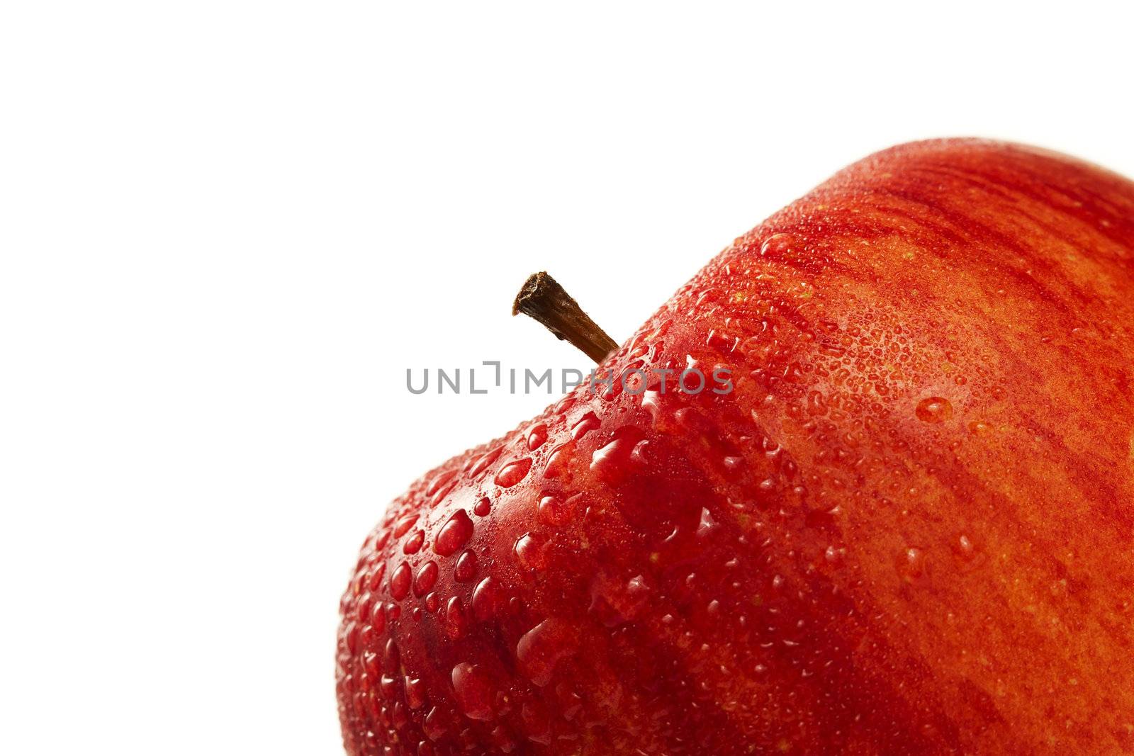 red wet apple closeup on white background