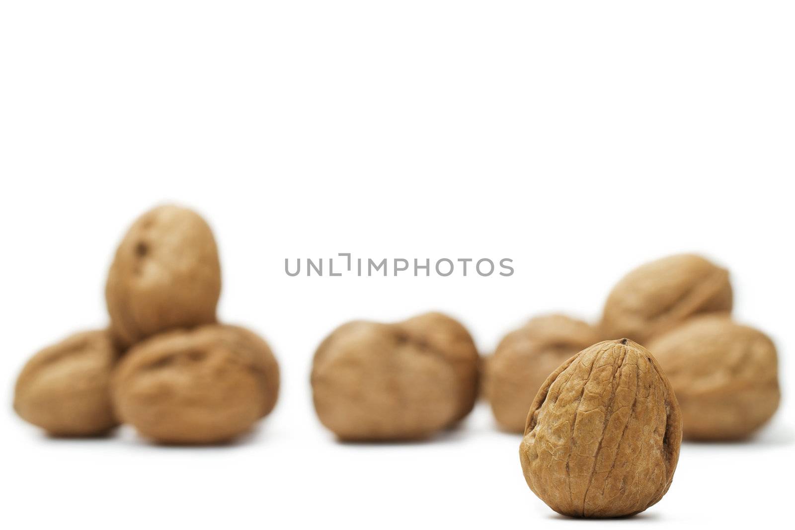 focus on a walnut in front of others on white background