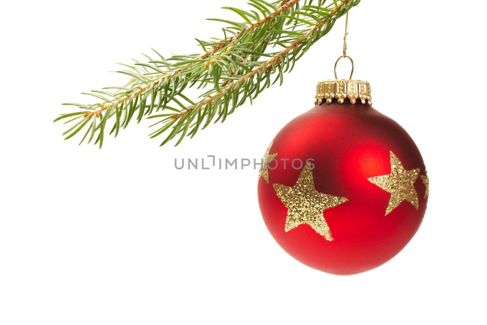 red christmas ball hanging on a branch isolated on white background