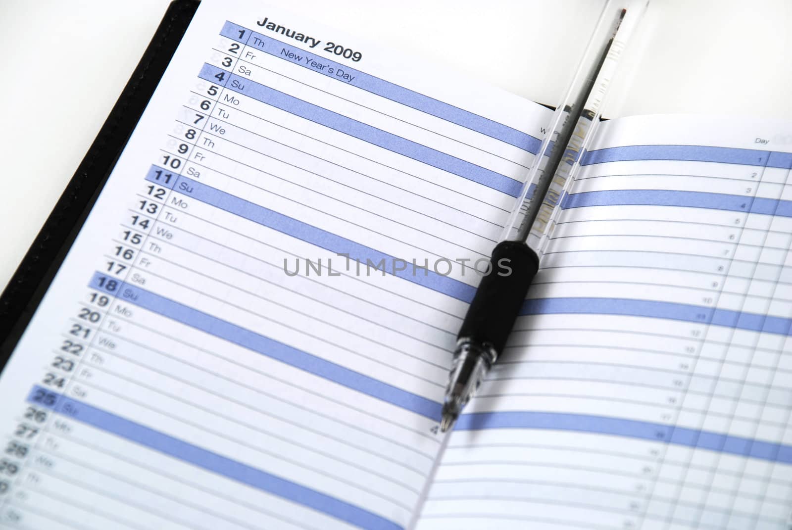 daily planner to keep appointments with a writing implement