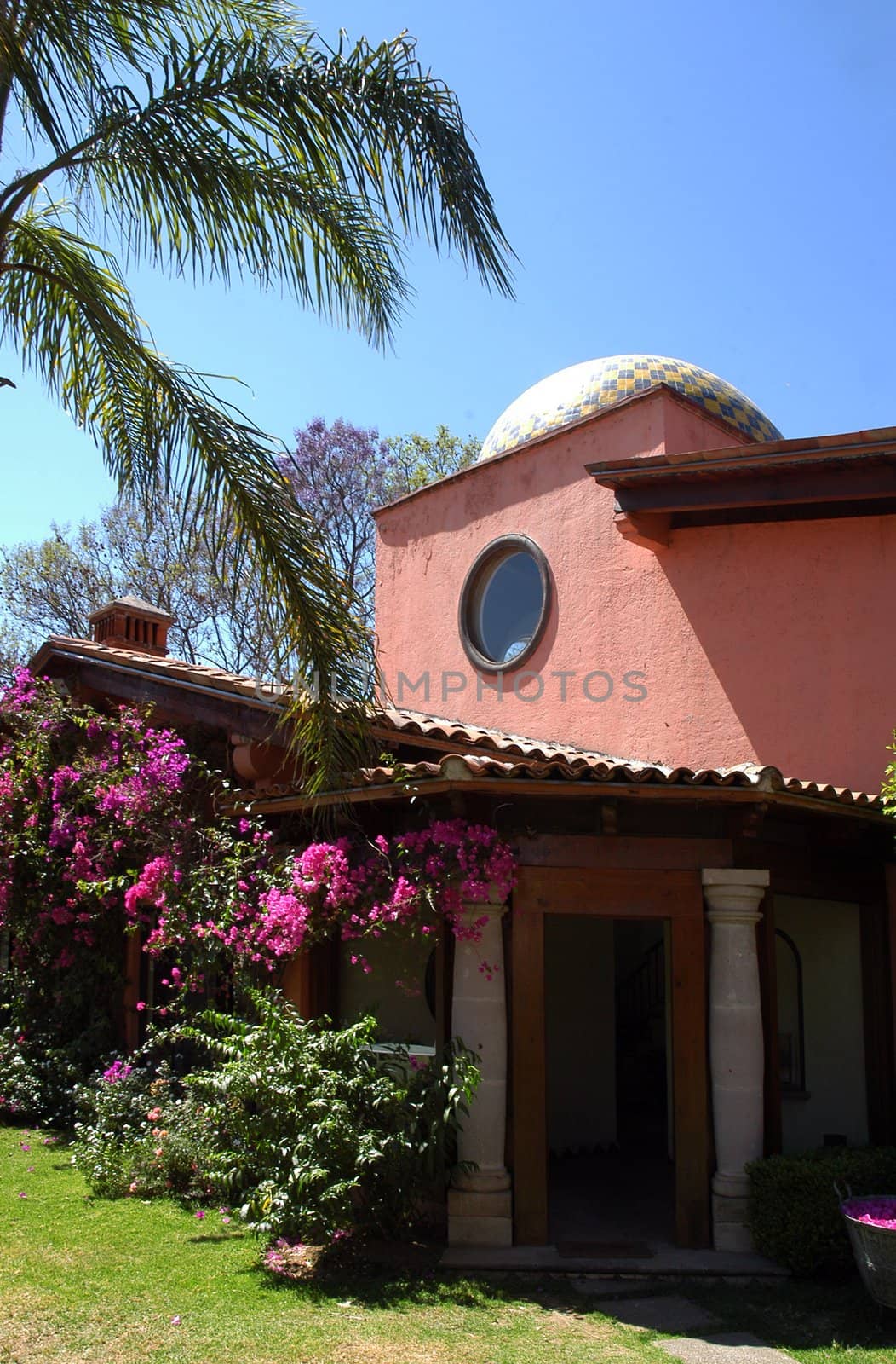 Luxury hotel with garden full of trees and flowers