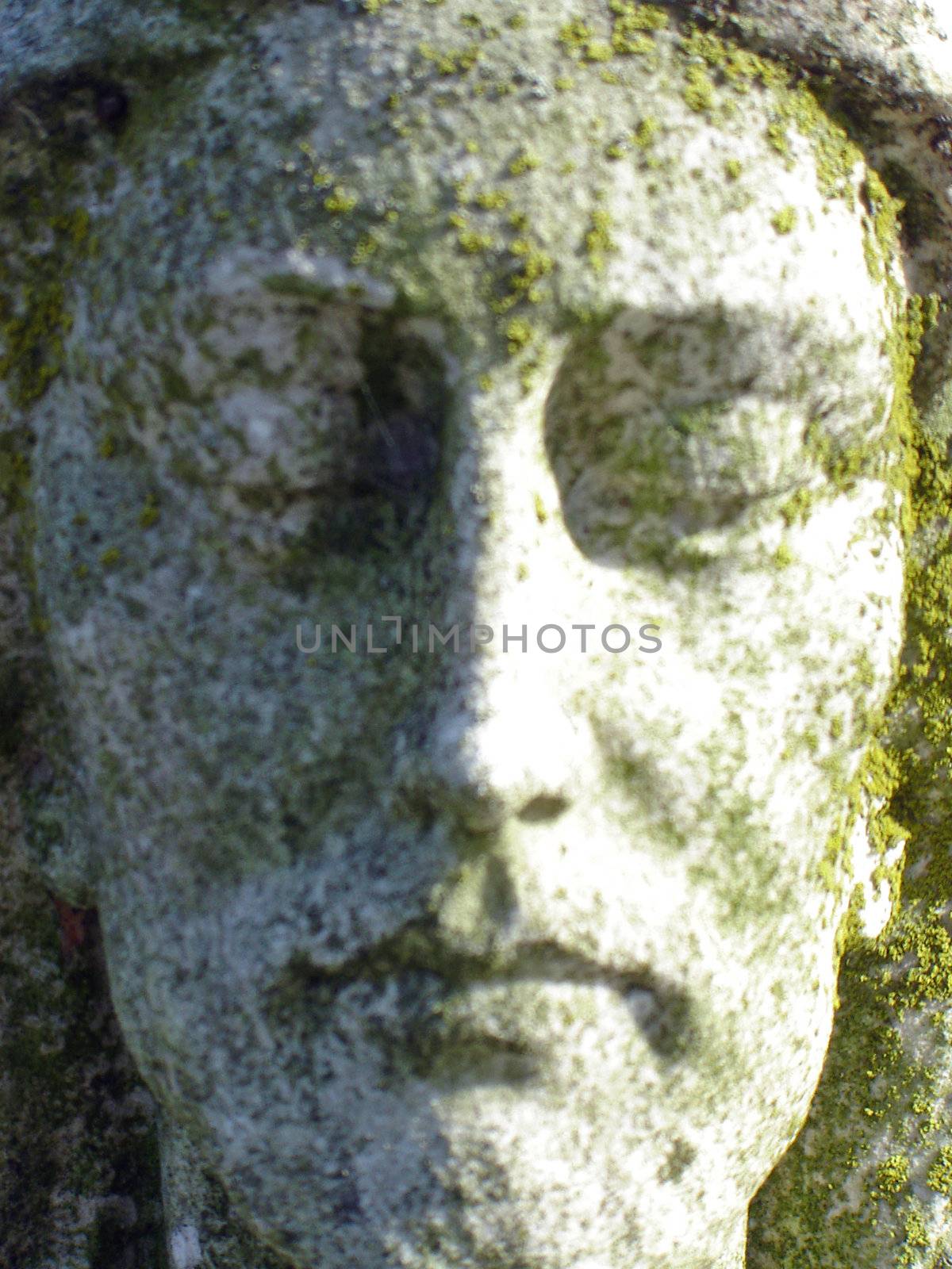 Jesus Statue inside a cemetary - face view by RefocusPhoto