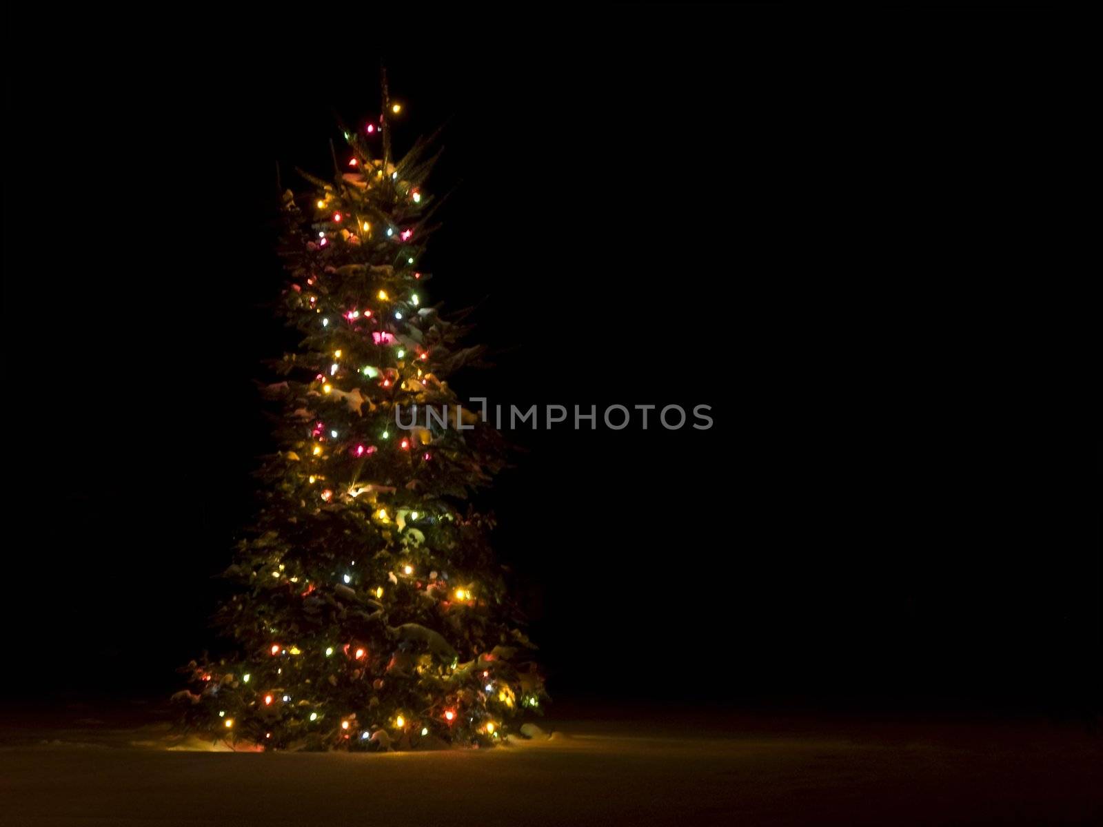 Lit up christmas tree outside in the snow