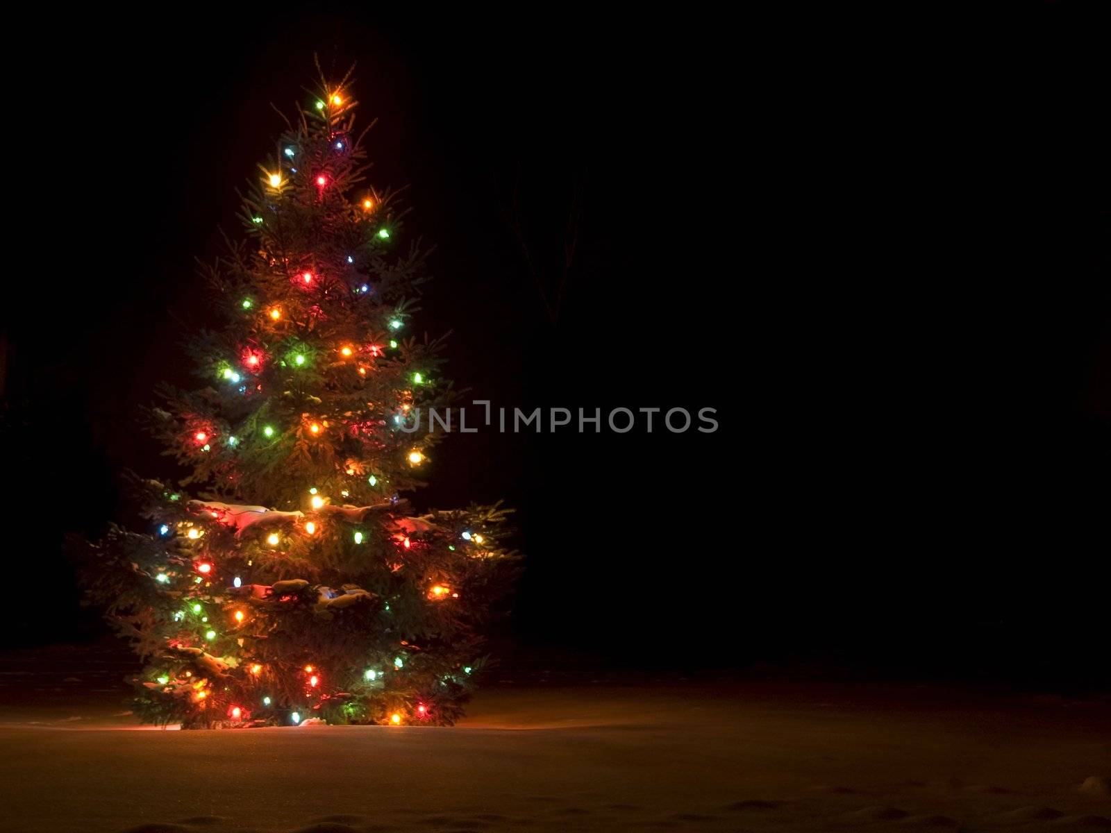 Lit up christmas tree outside in the snow