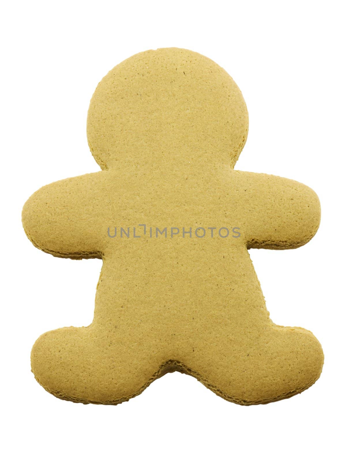 Blank Gingerbread Cookie by bhathaway