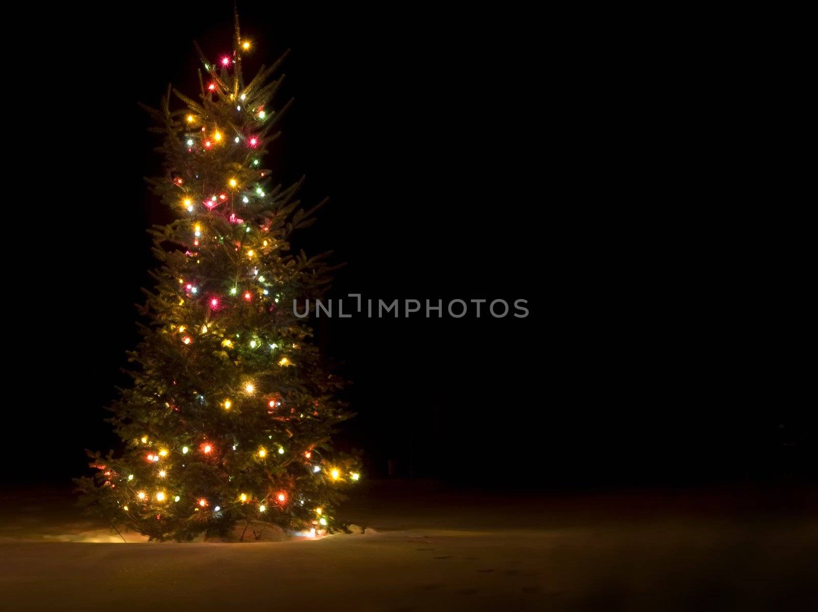 Outside christmas tree lit up at night in the snow