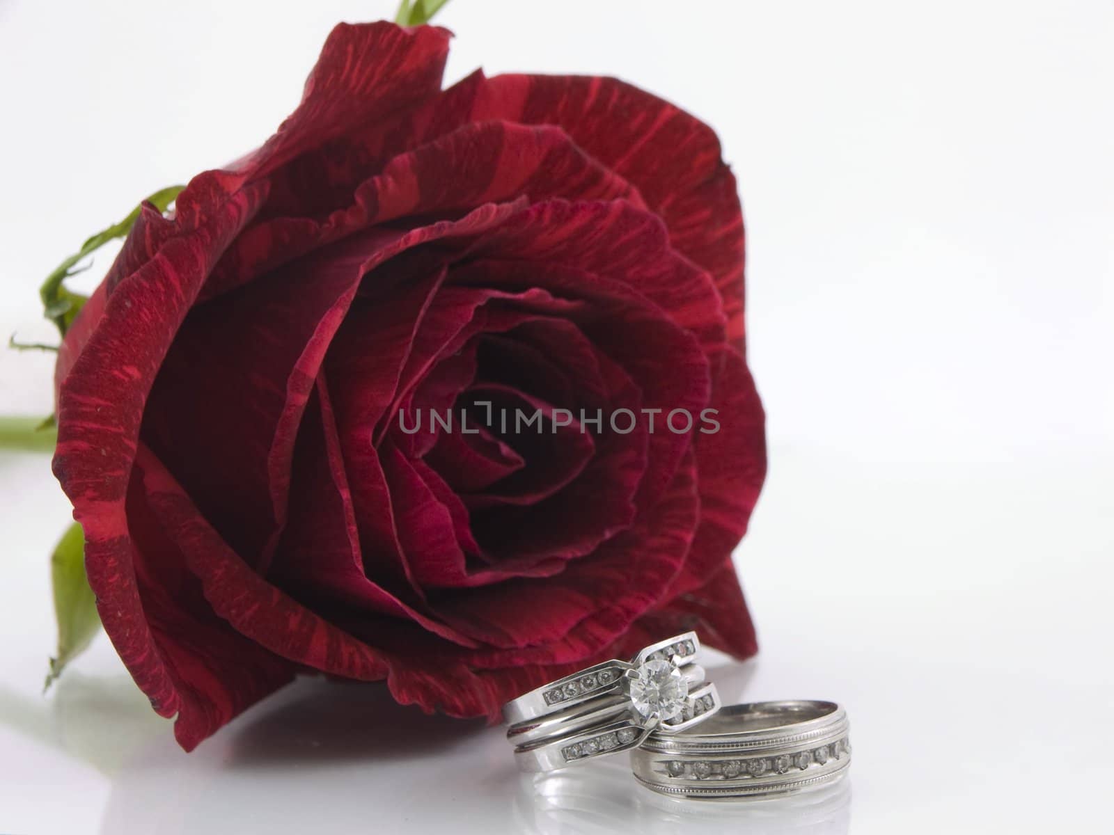 Two diamond wedding rings set in front of a red rose