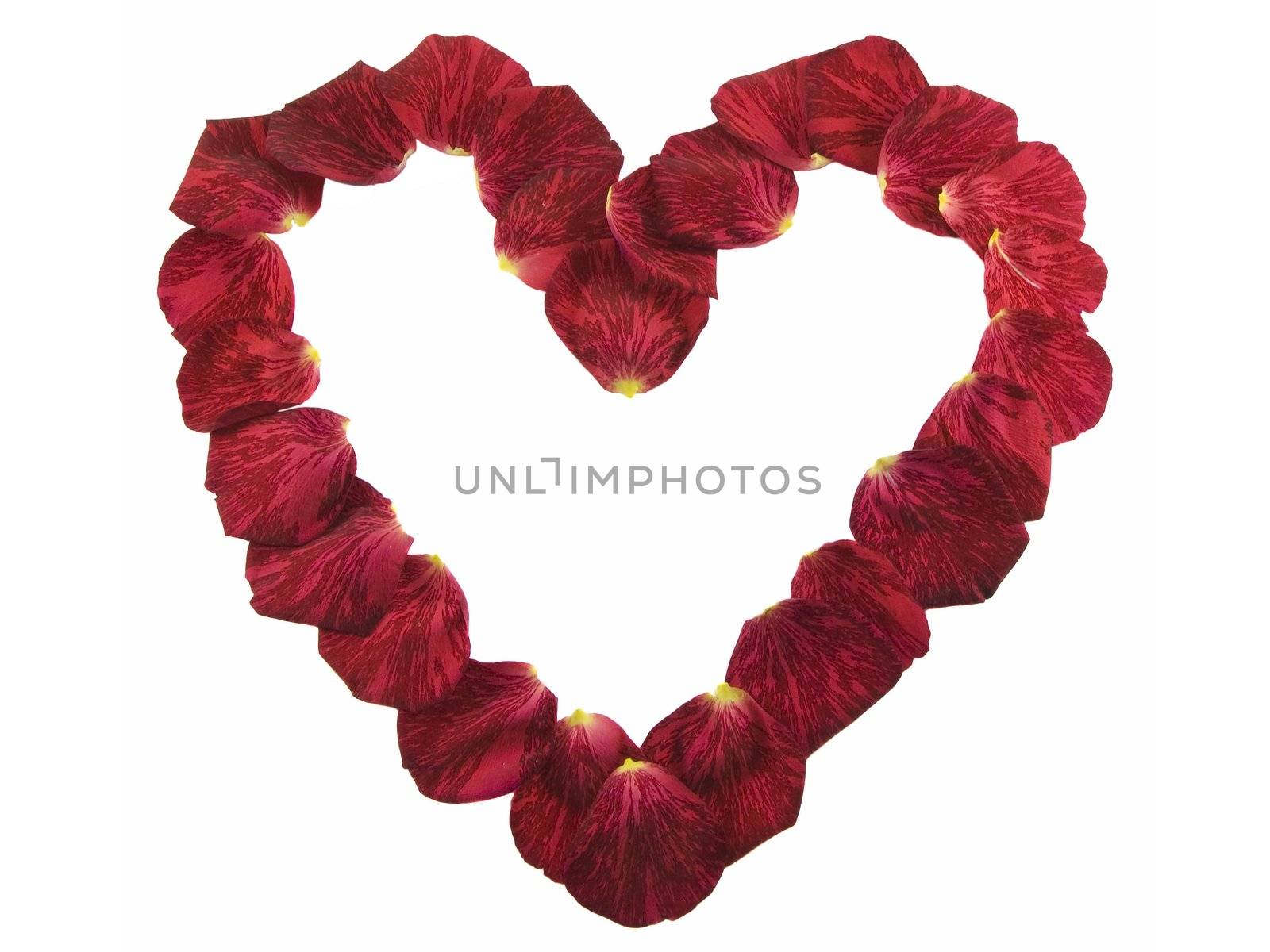 Heart shape made of red rose petals isolated on white