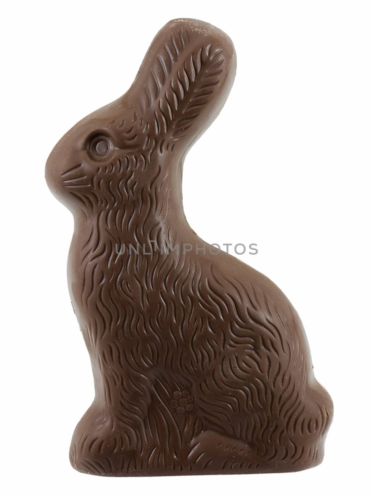 Chocolate easter bunny isolated on a white background