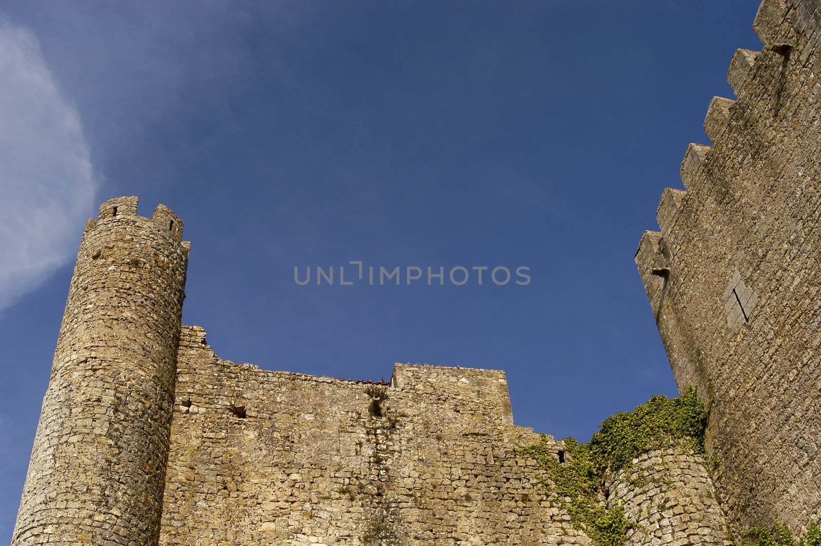 portuguese ancient castle