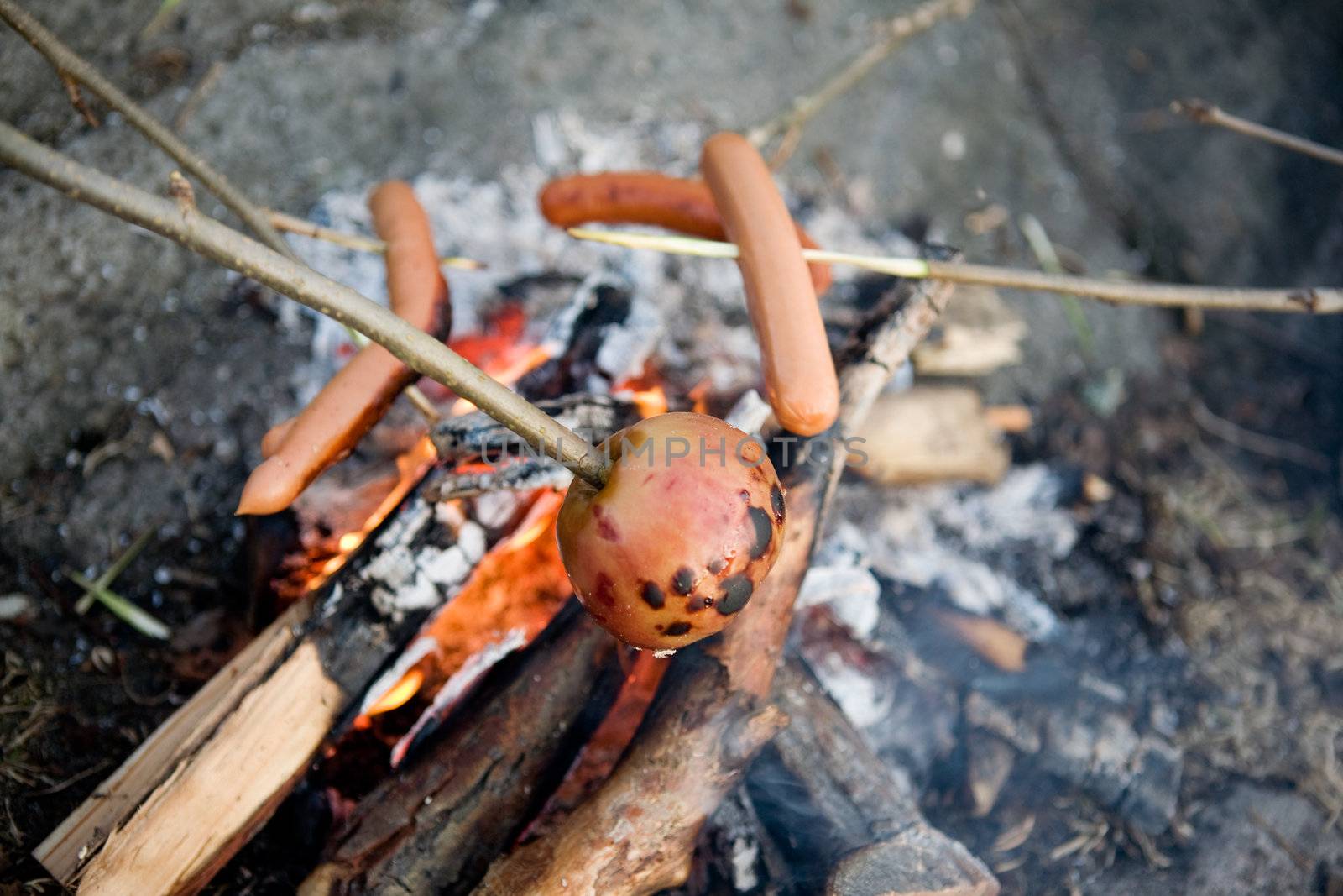 A vegetarian on a wiener roast - shallow depth of field with the focus on the apple.