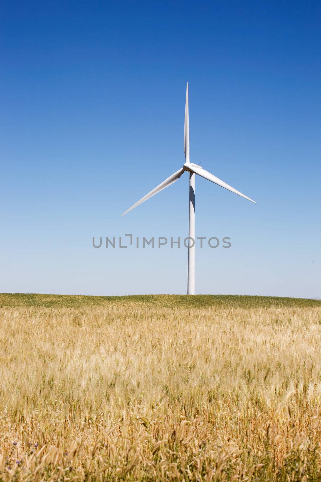 Praire Wind Turbine by leaf