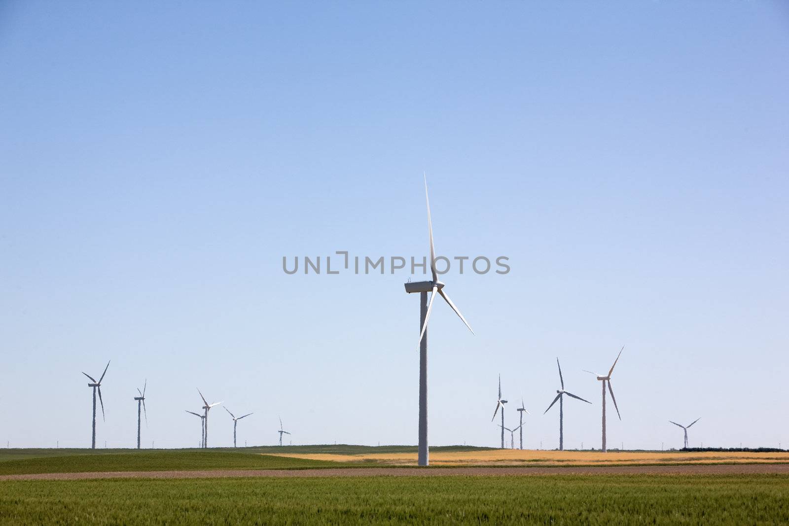 A wind turbine farm on the beautiful prairies
