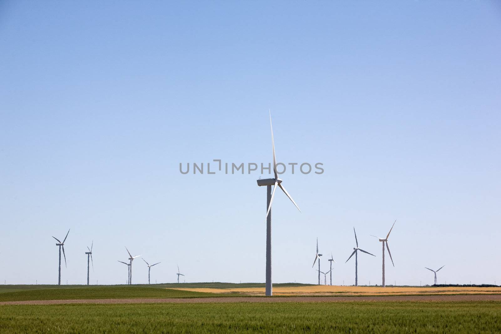 Wind Turbine Farm by leaf