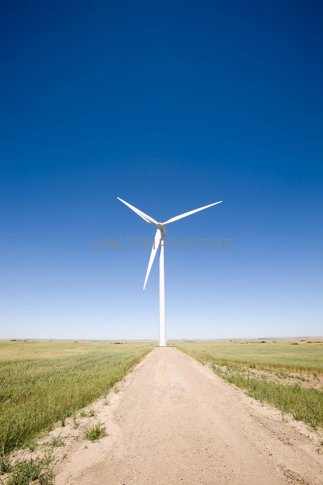 Wind Turbine on the Prairie by leaf