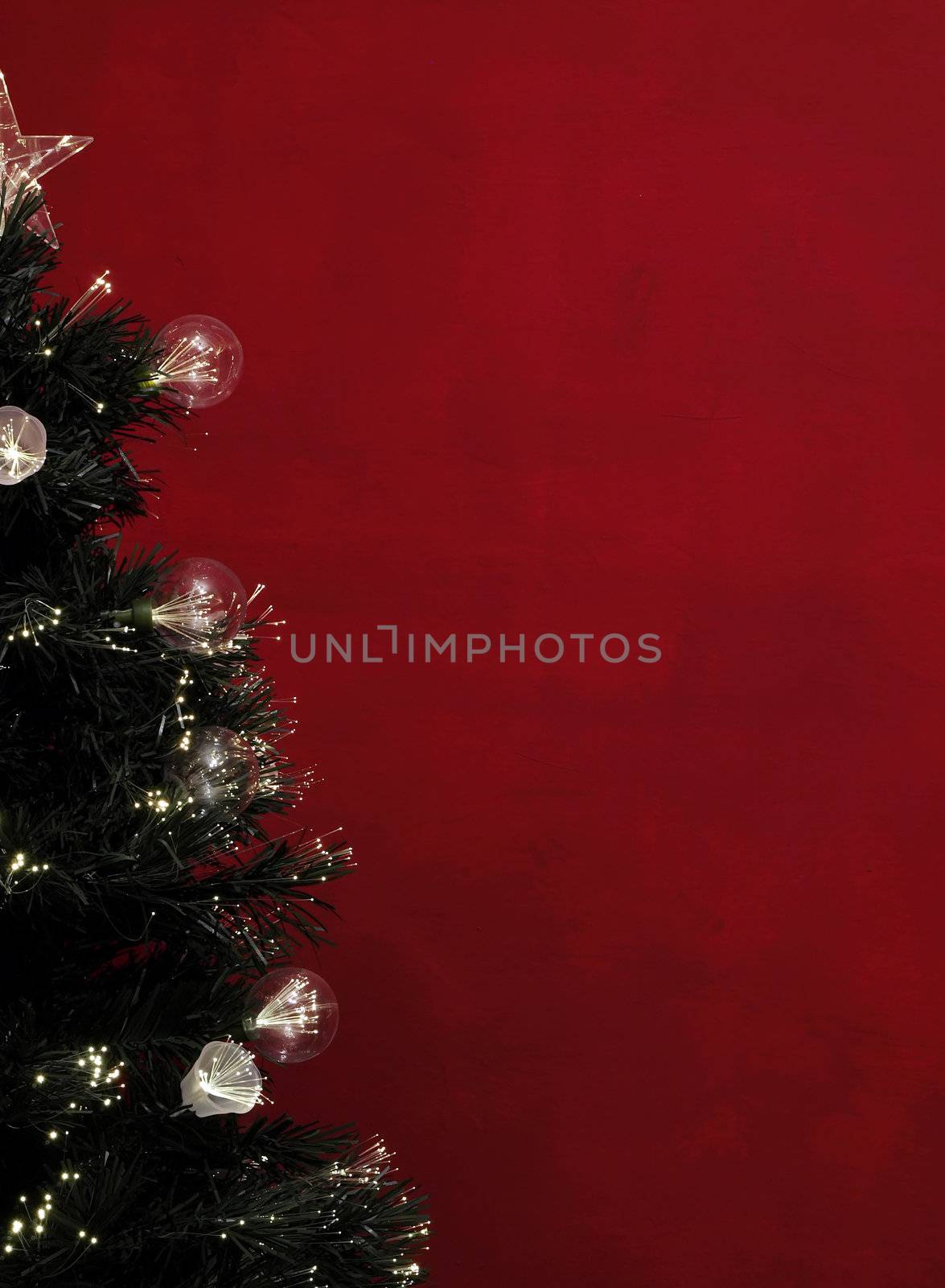 Christmas Tree by PhotoWorks