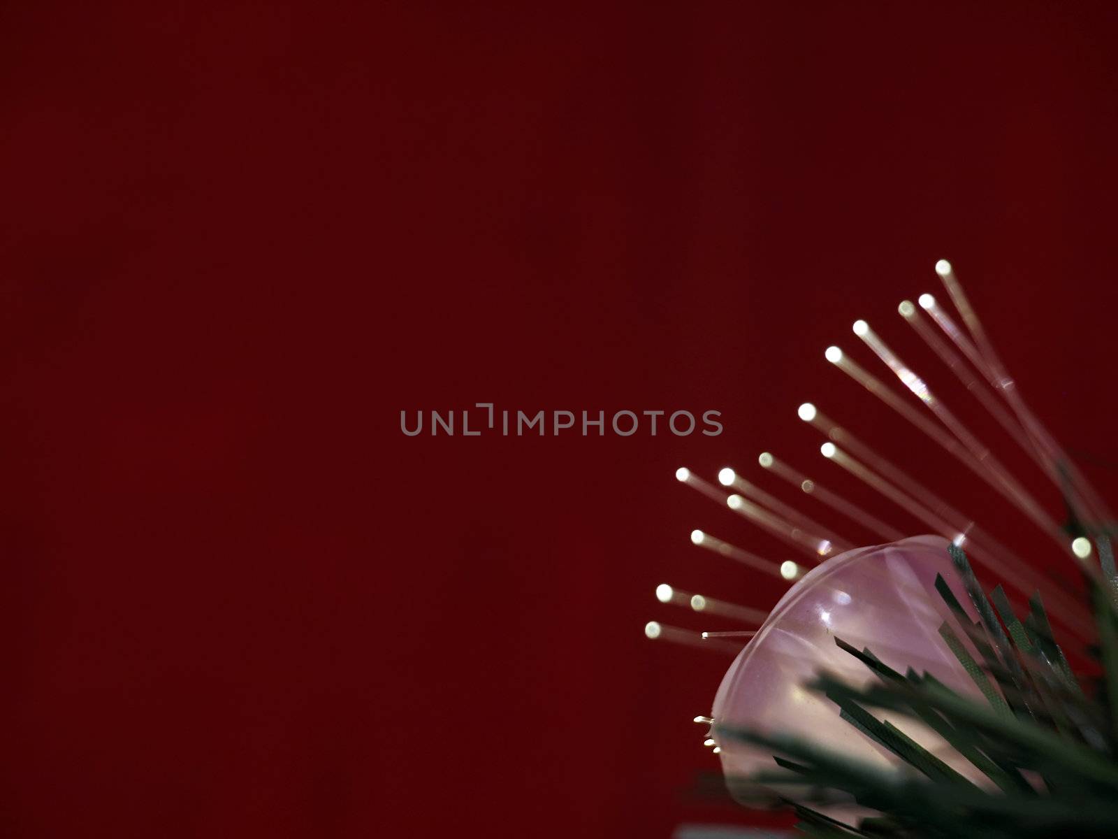 Details of a fibre-optic decorated Christmas Tree against a red wall