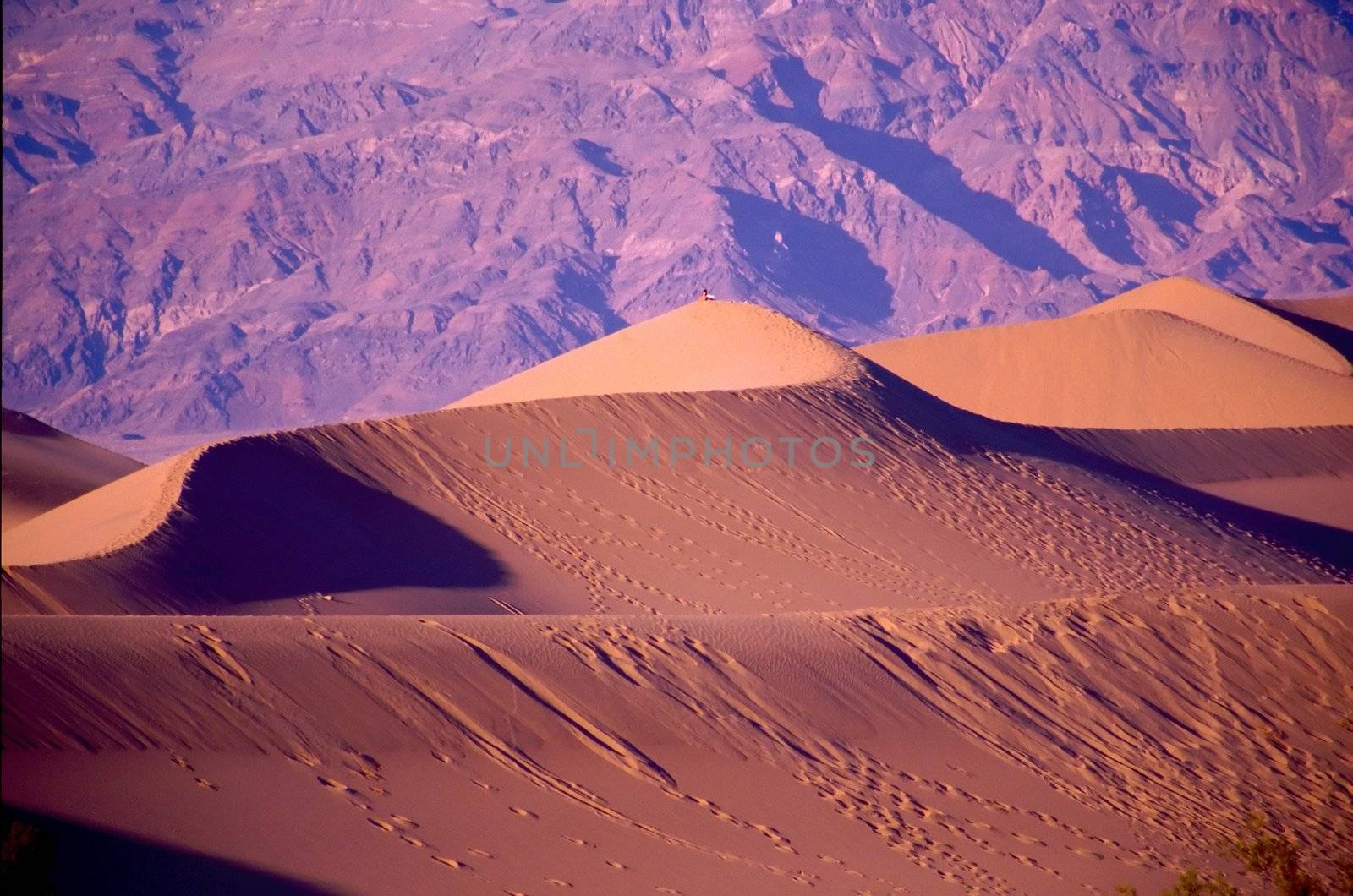 Death Valley is the lowest, driest and hottest valley in the United states. It is the location of the lowest elevation in Western hemisphere