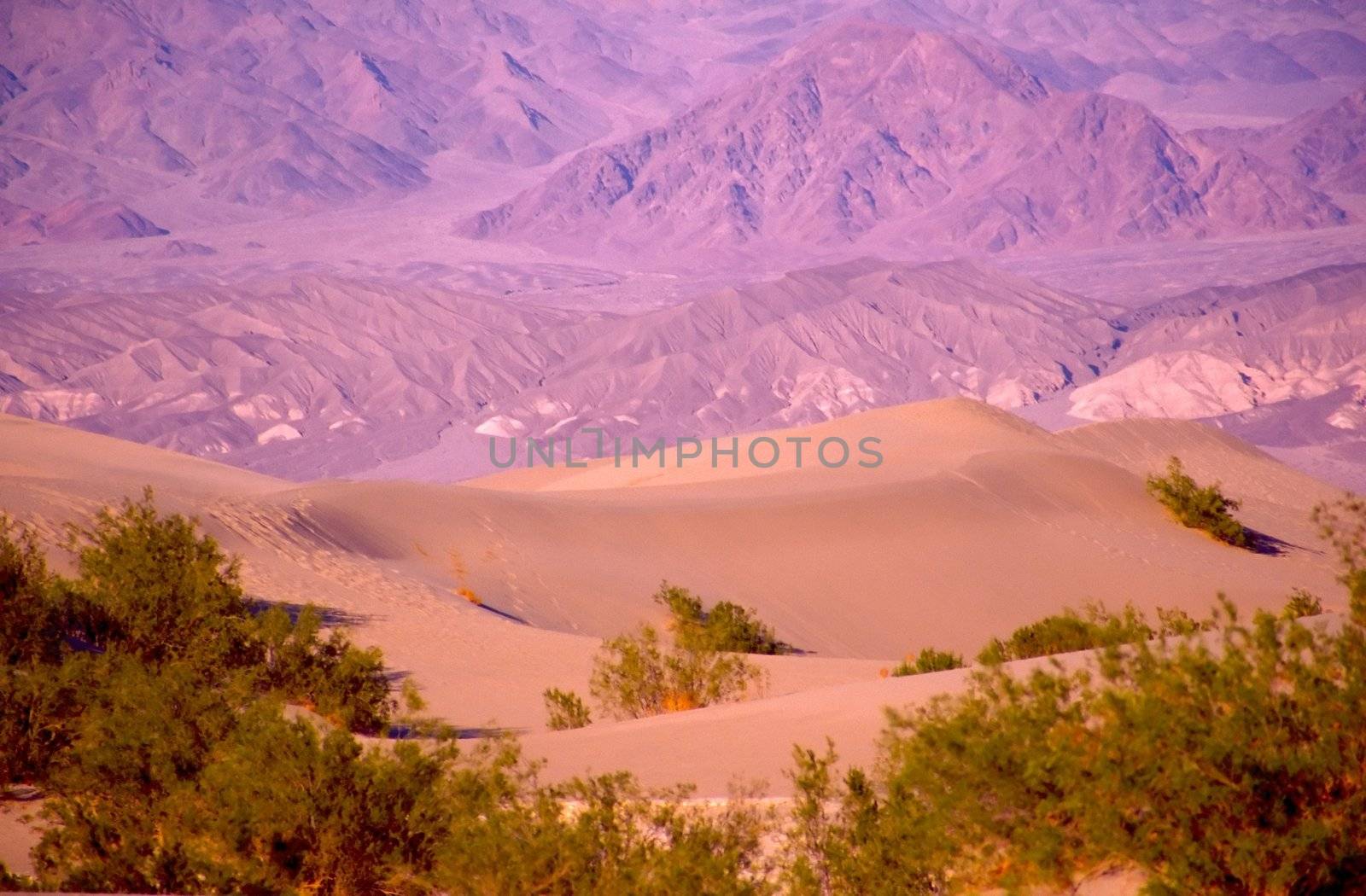 Death Valley is the lowest, driest and hottest valley in the United states. It is the location of the lowest elevation in Western hemisphere