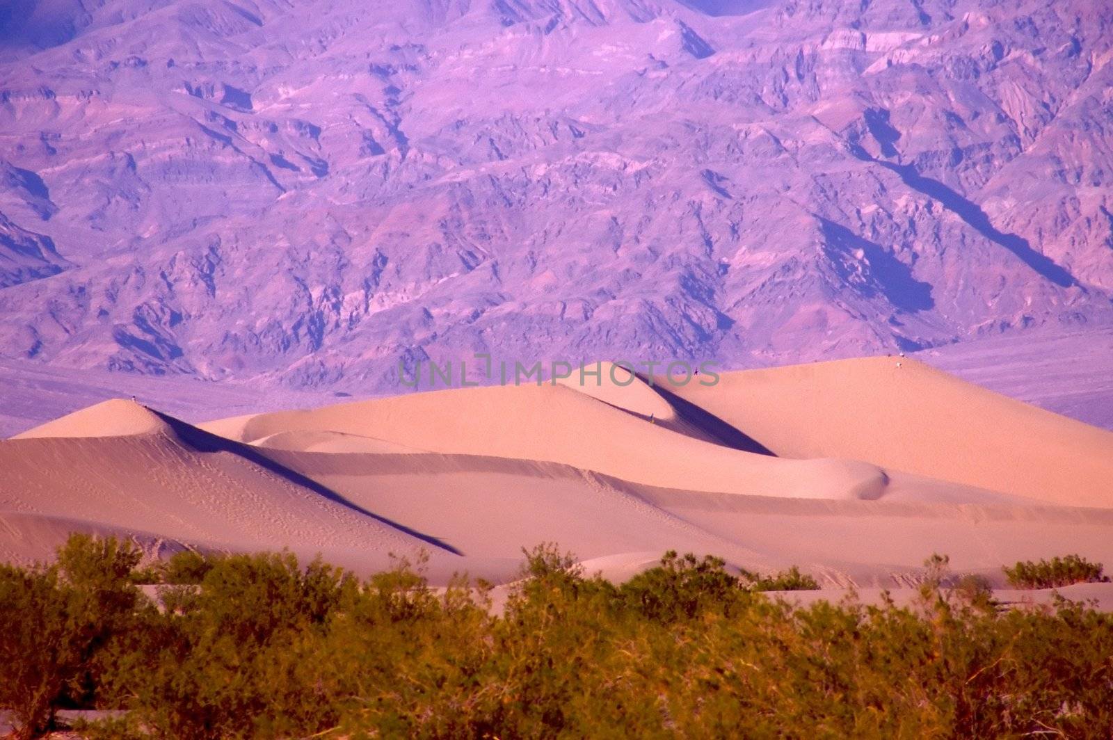 Death Valley is the lowest, driest and hottest valley in the United states. It is the location of the lowest elevation in Western hemisphere