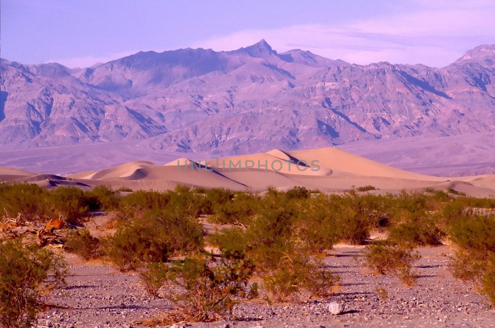 Death Valley is the lowest, driest and hottest valley in the United states. It is the location of the lowest elevation in Western hemisphere