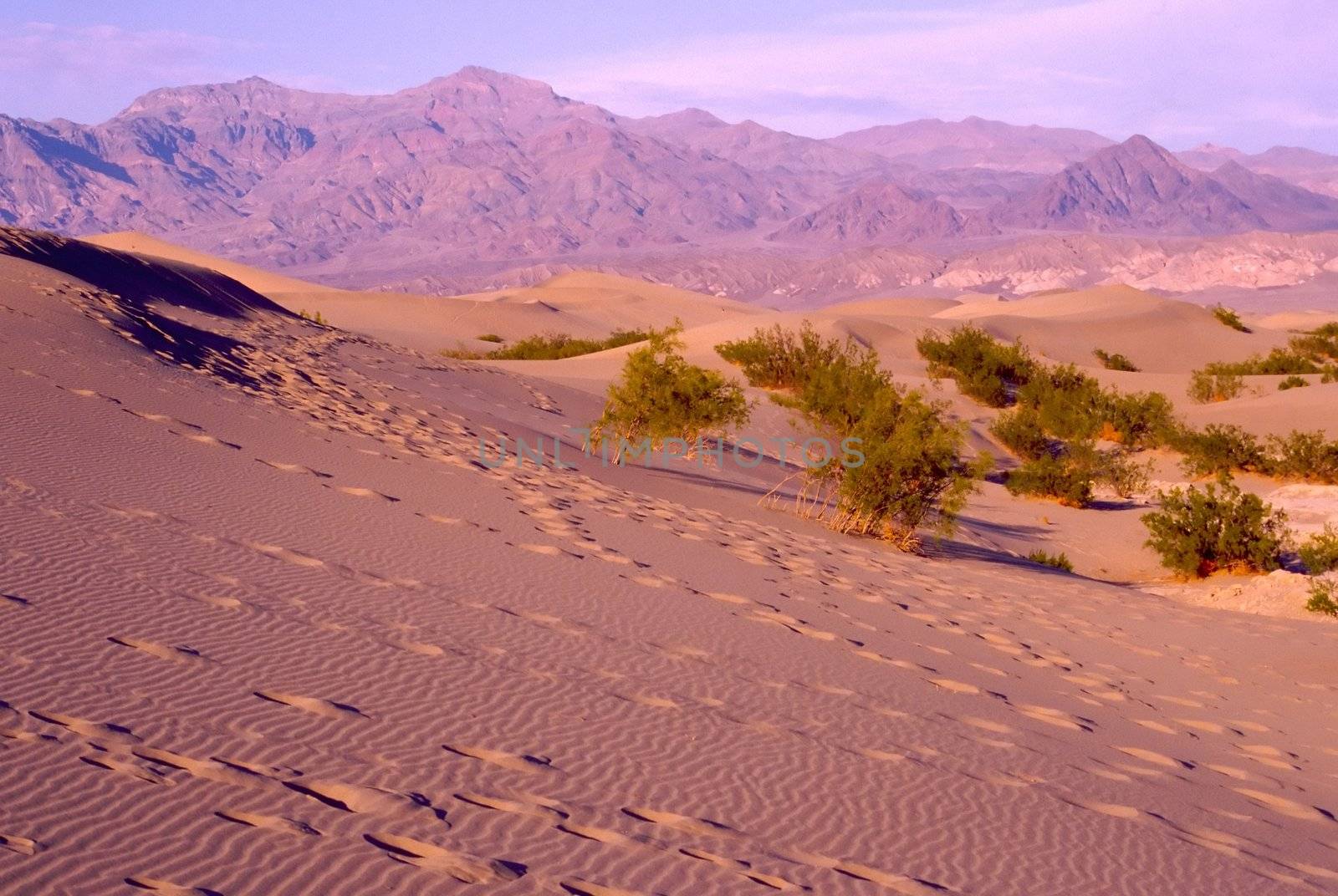 Death Valley is the lowest, driest and hottest valley in the United states. It is the location of the lowest elevation in Western hemisphere