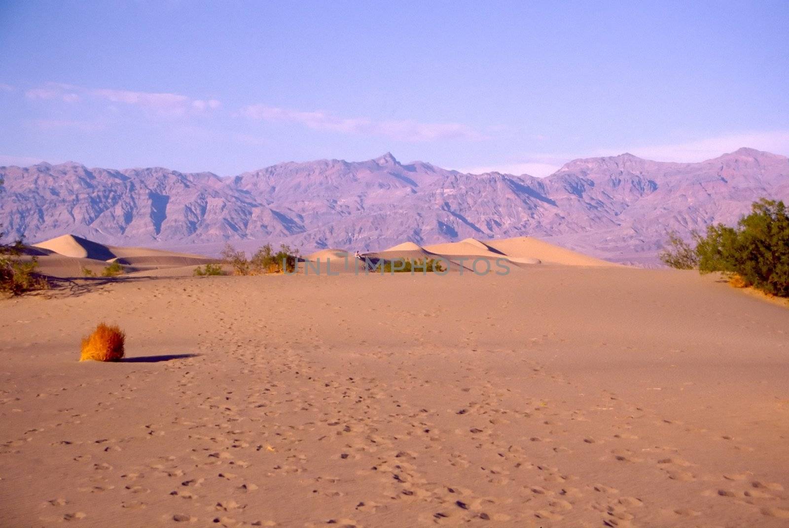 Death Valley is the lowest, driest and hottest valley in the United states. It is the location of the lowest elevation in Western hemisphere