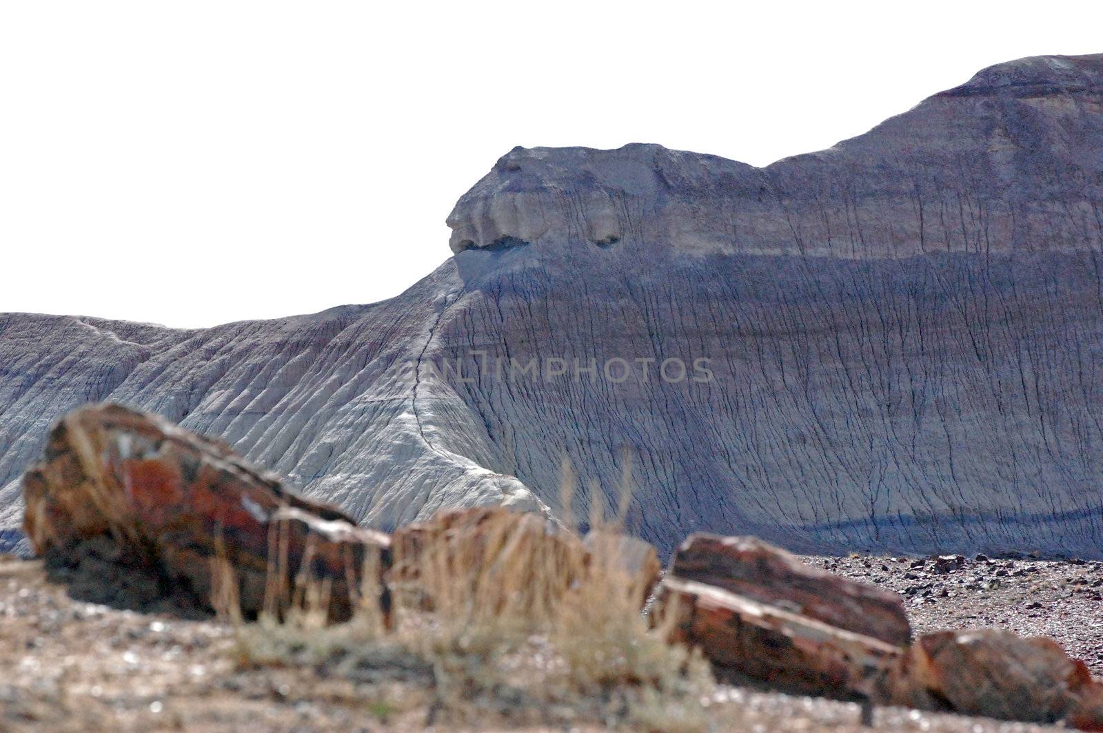 Petrified Forest Landscape - dinosaur rock by RefocusPhoto