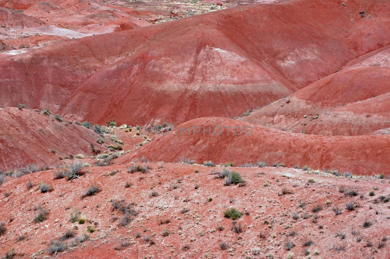 Petrified Forest Landscape - Arizona by RefocusPhoto