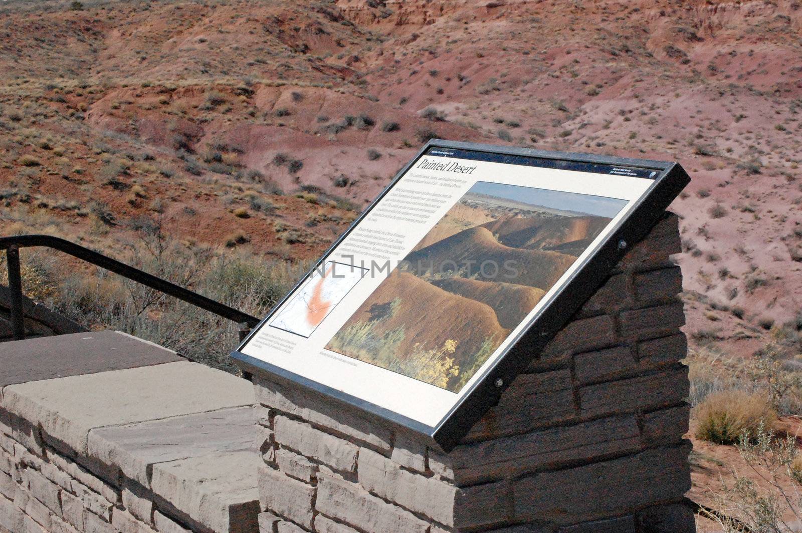 Petrified Forest Landscape - Arizona