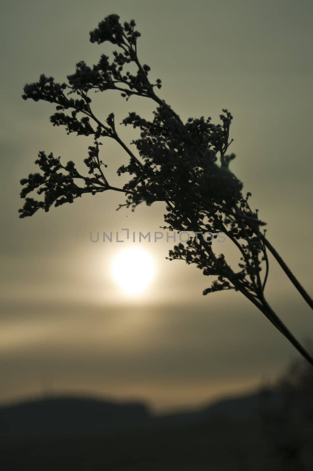 sunrise on a winter day