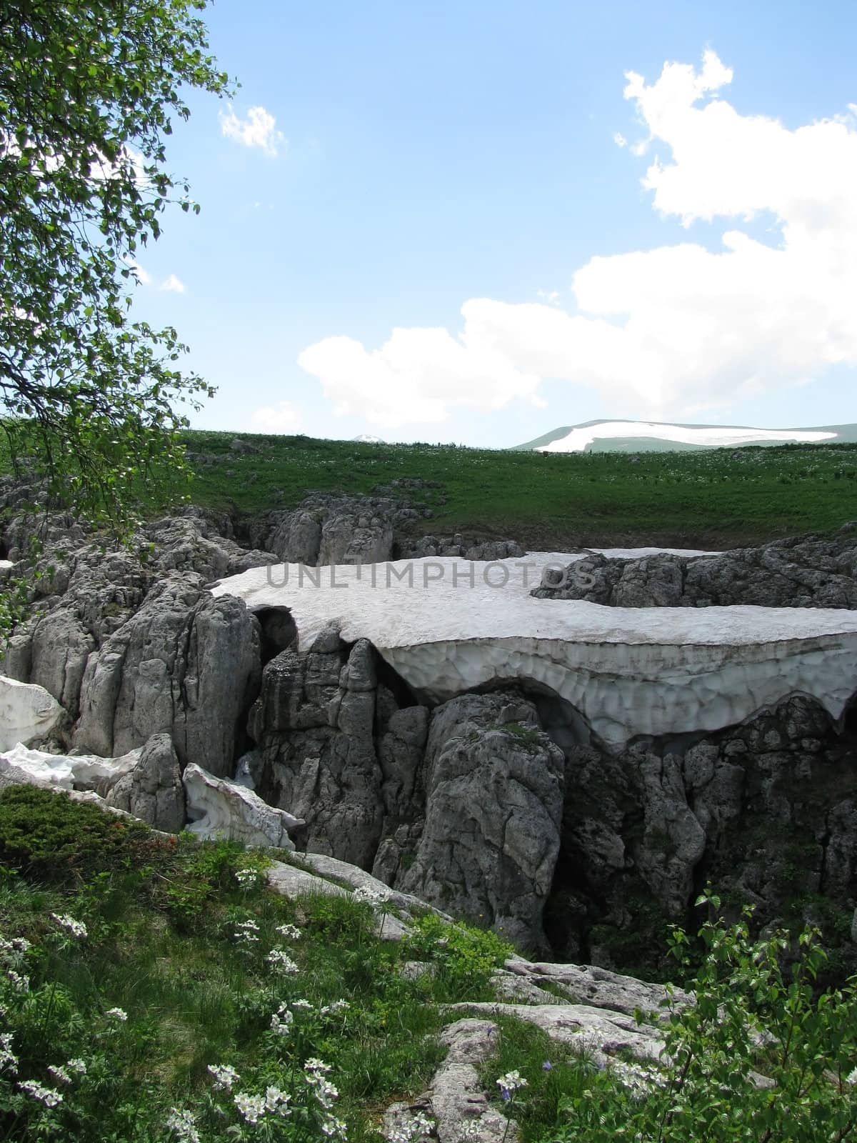 Europe; Russia; flora; the Alpine meadows; vegetation; a distance; summer; greens; flowering; plants; flowers