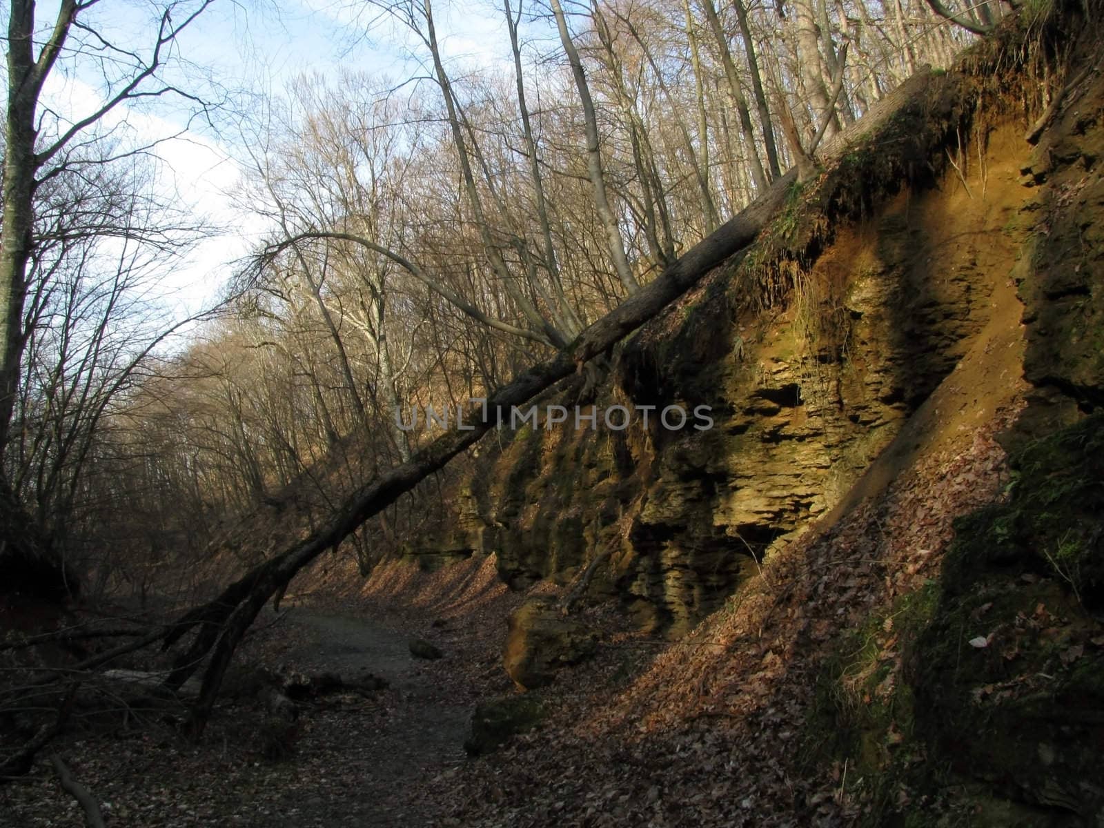 Greens, the Caucasian ridge, rocks; a relief; a landscape; a hill; a panorama; mountains, Caucasus; mountain; a slope