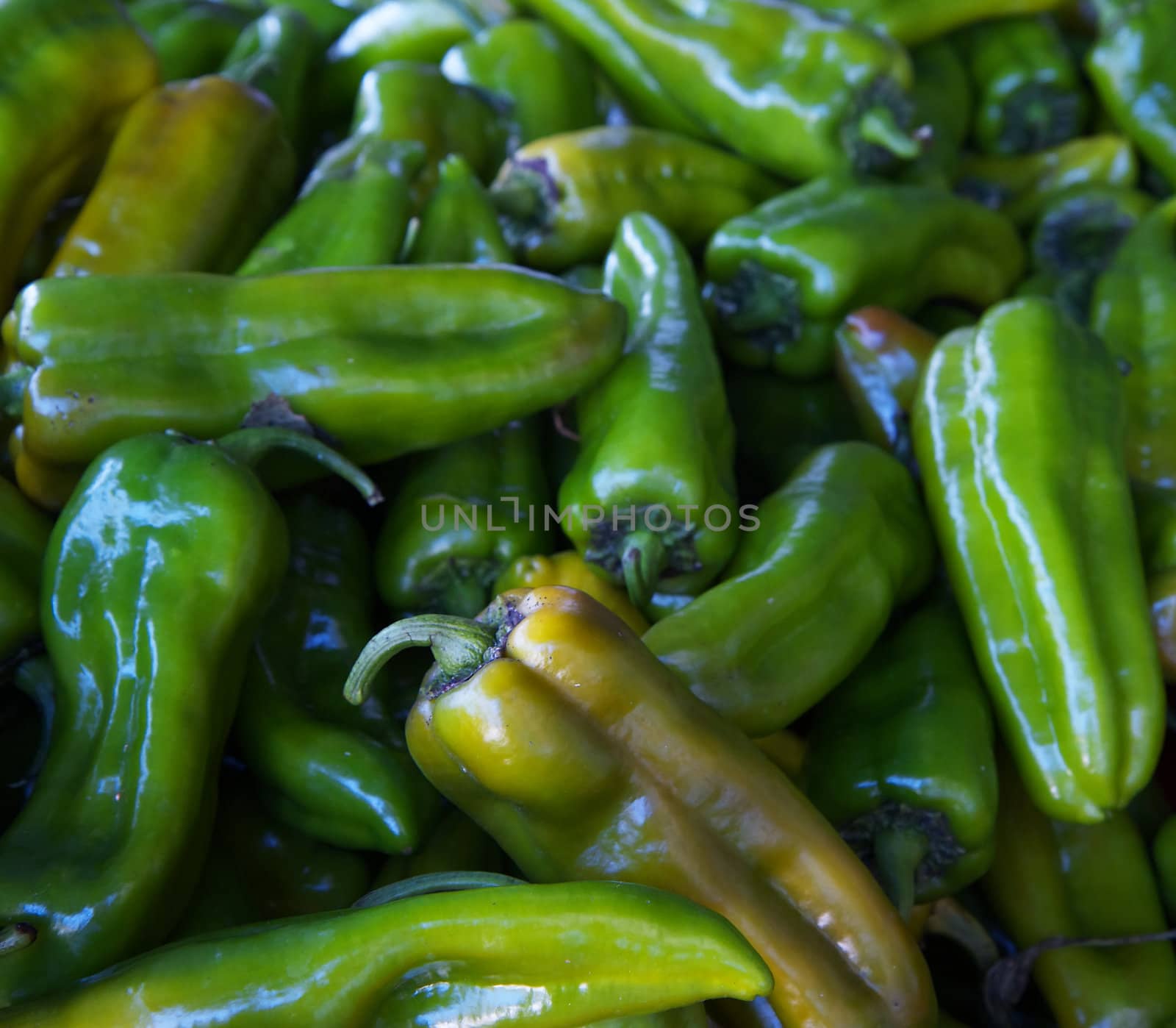 Pile of jalapeno green and yellow peppers at the farmers market