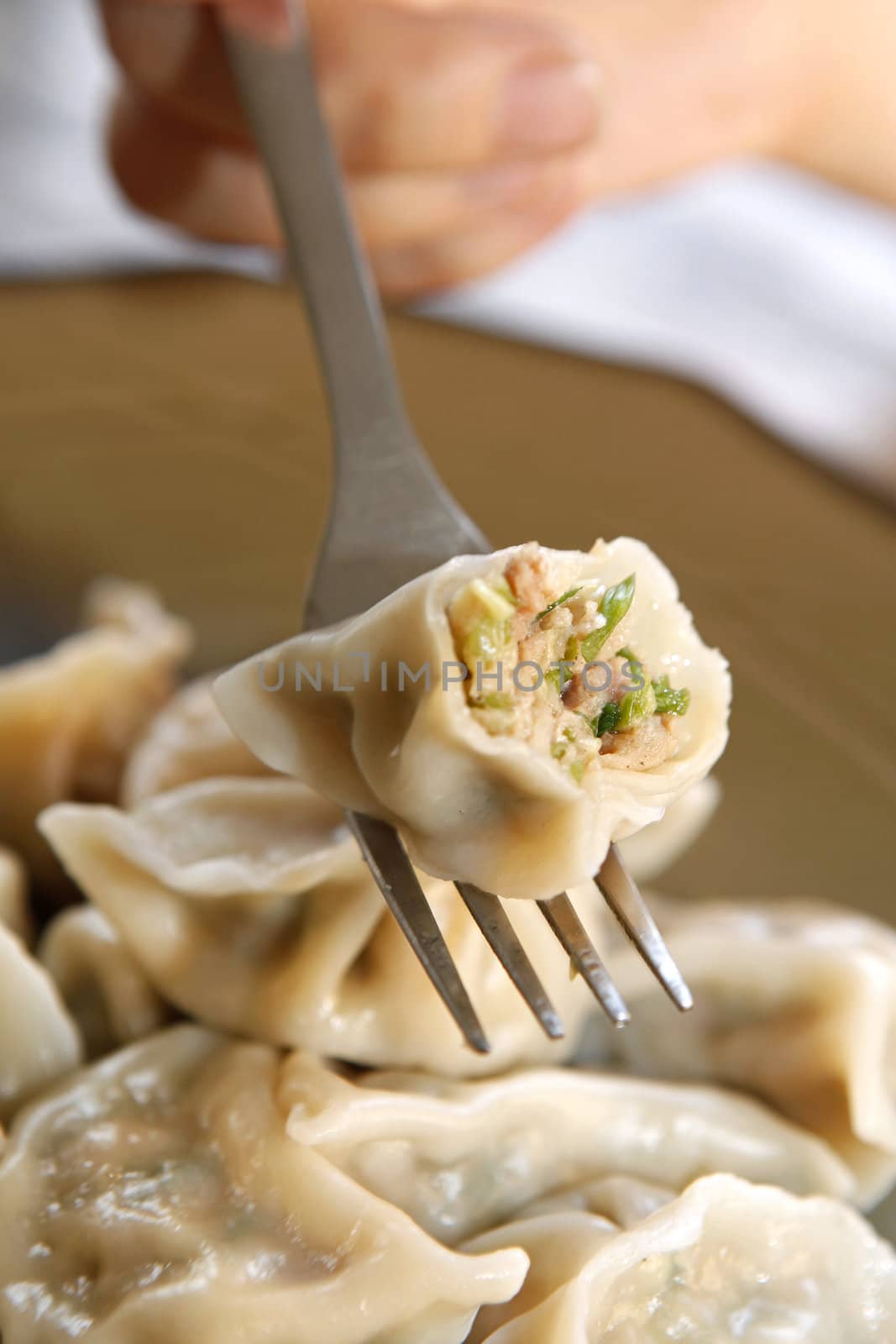 Chinese food, dumpling with meat and vegetable.