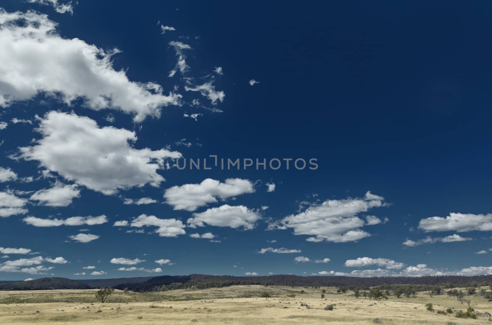 An image of a dry landscape in Australia
